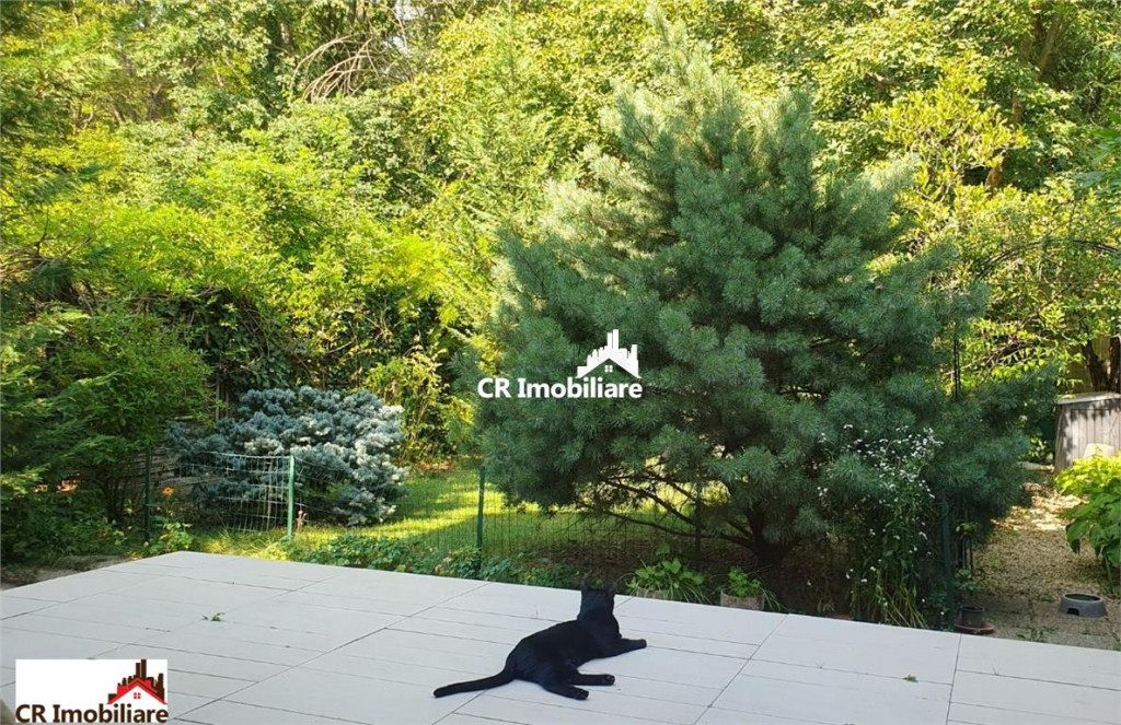 Vila 5 camere Baneasa