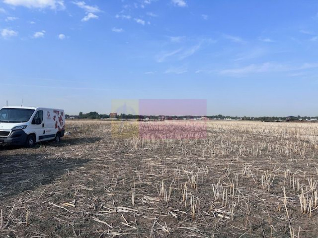 Teren Domnesti strada Ciocarliei.