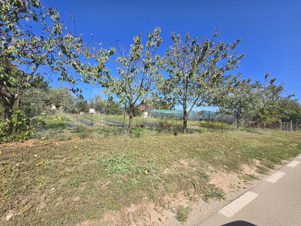 Teren intravilan,1000 mp,toate utilitatile,Penny Micesti