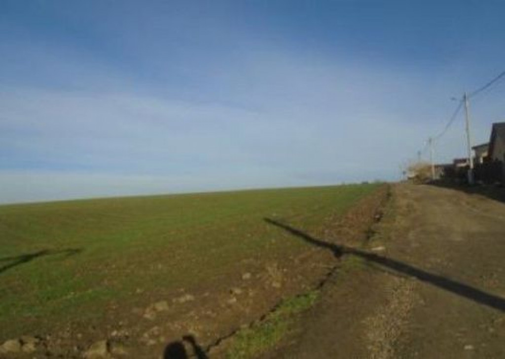 Teren Extravilan Branistea, ID: R2739981