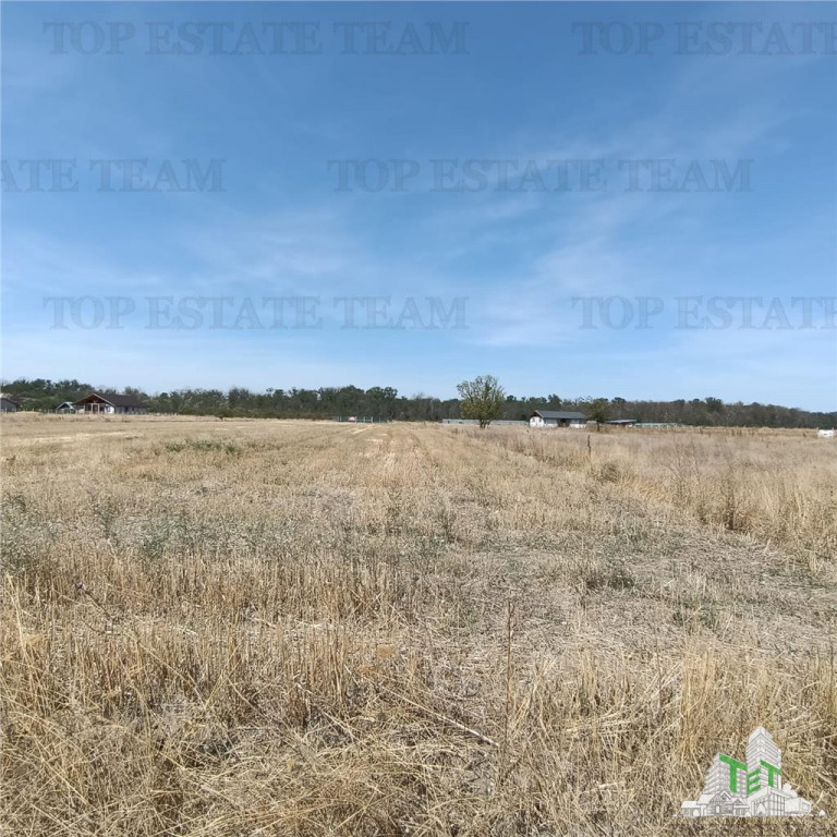 Teren intravila de / Pruni/ Magurele