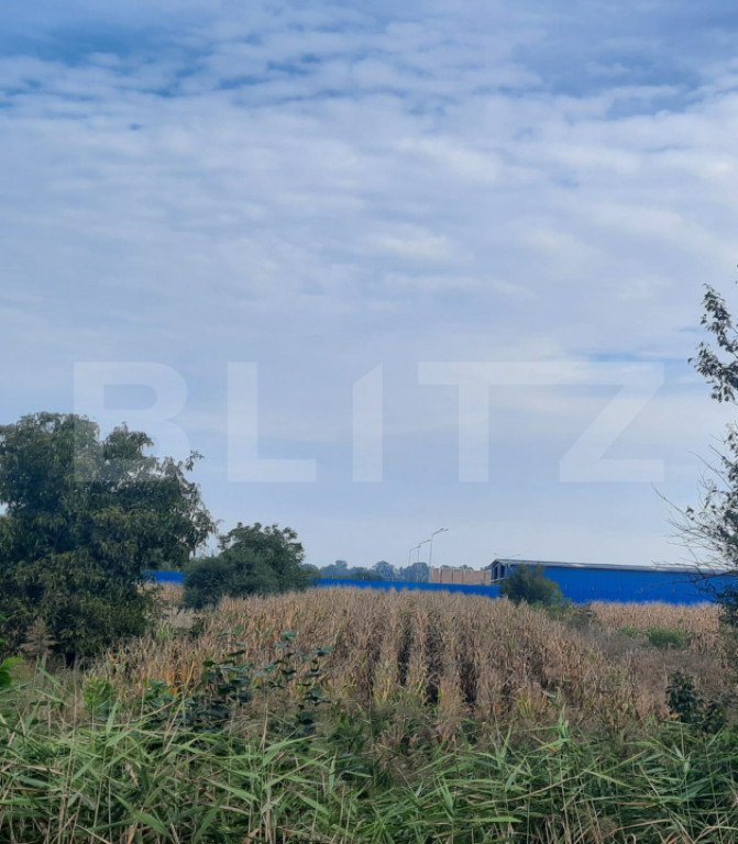 Teren extravilan de vanzare suprafata 1.700 mp ,zona Careiul