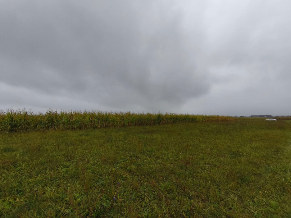 Teren intravilan, 5200mp, front 27ml, Fratautii Vechi, Radau