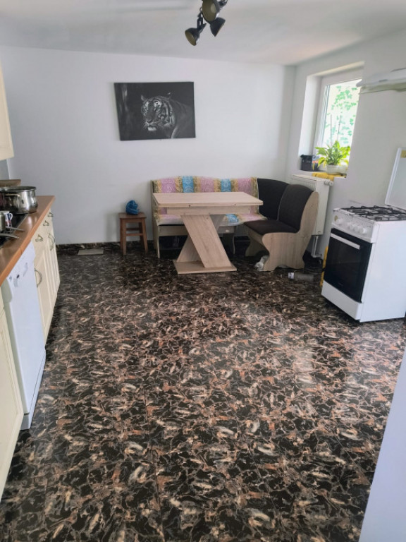 Casă renovată în Preluci la 12 Km de Comănesti , fântâ