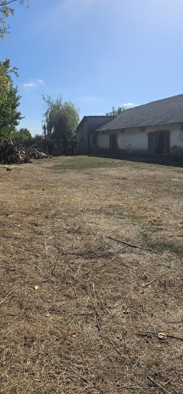 Ferma Coslogeni, Calarasi