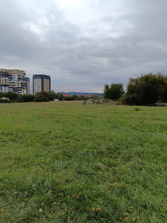 Teren intravilan 8000 mp , DR.D.Vechi