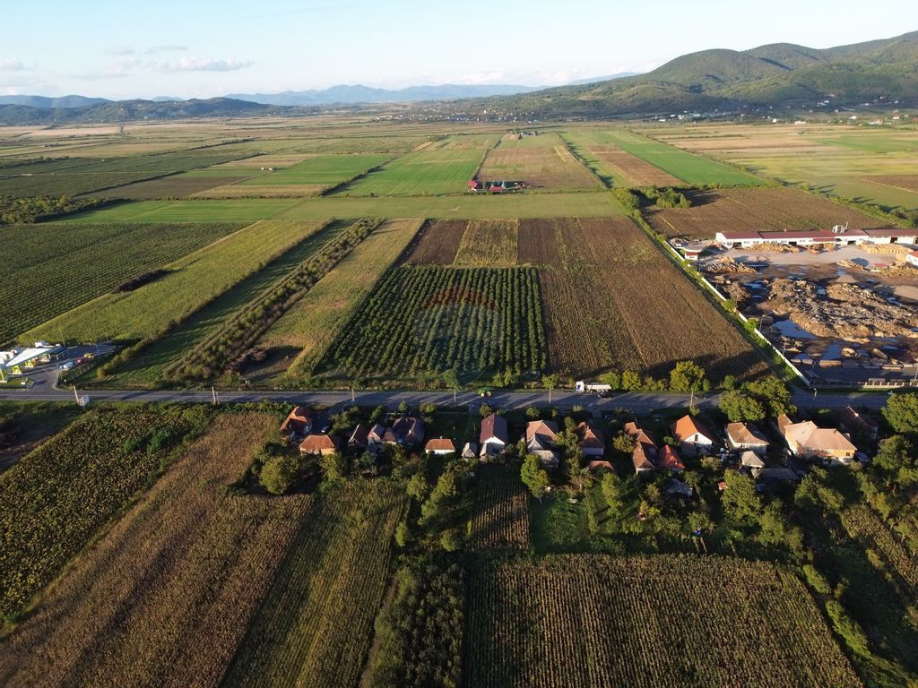 Teren INTRAVILAN 10,778mp Seini E 58 ideal/ activitati ec...