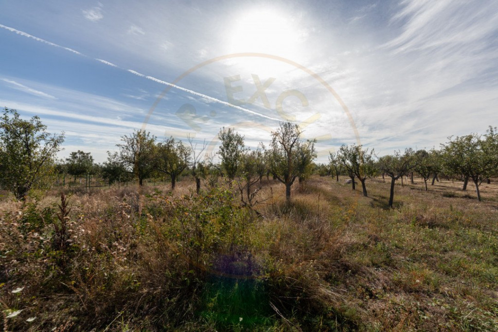 Teren 2.847 mp in comuna Cuca, AG