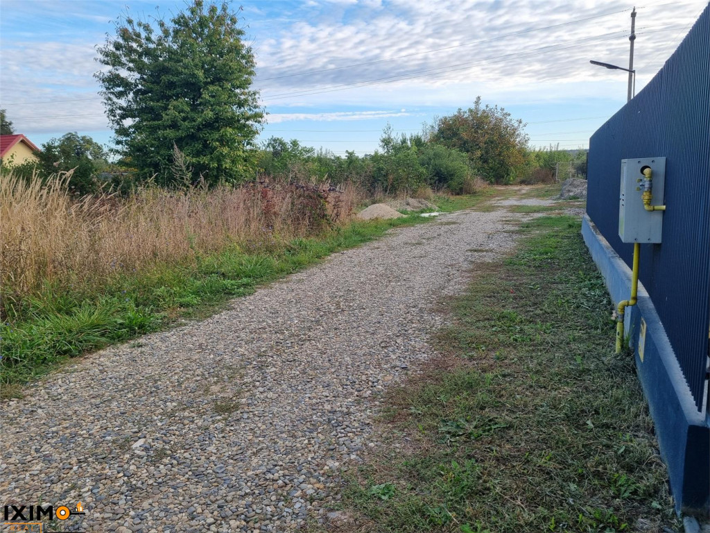 Teren Salina Hemeius