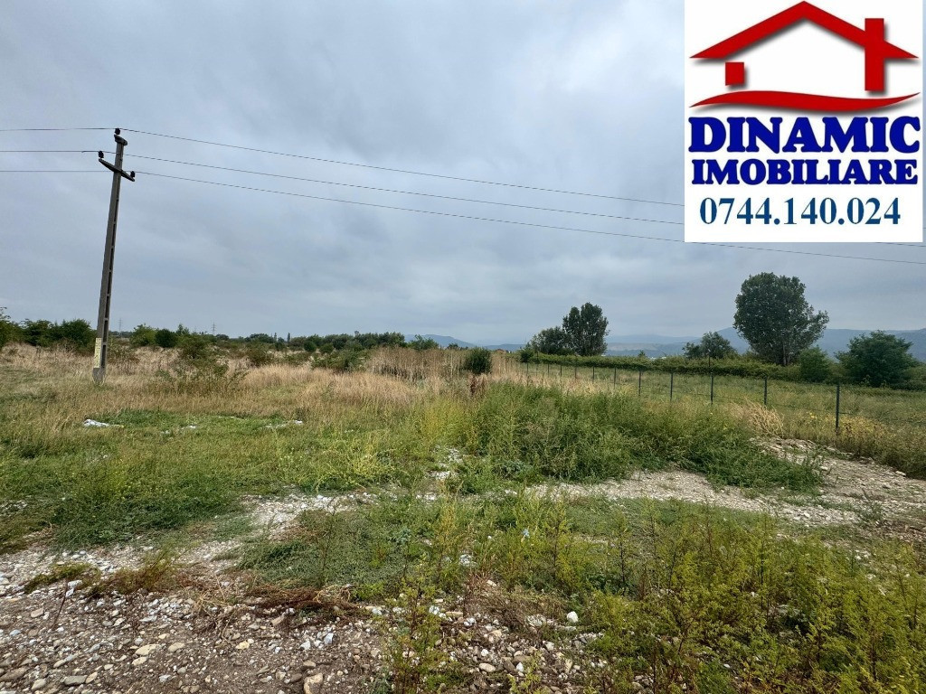 Teren 3600 mp intravilan, Piatra-Neamt, 25 Eur/MP