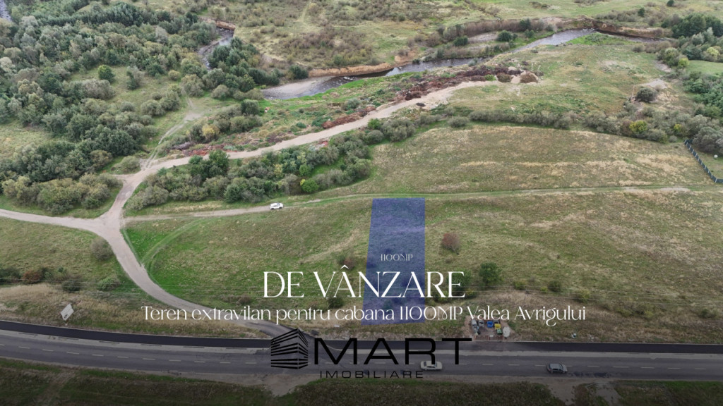 Teren 1100mp pe Valea Avrigului