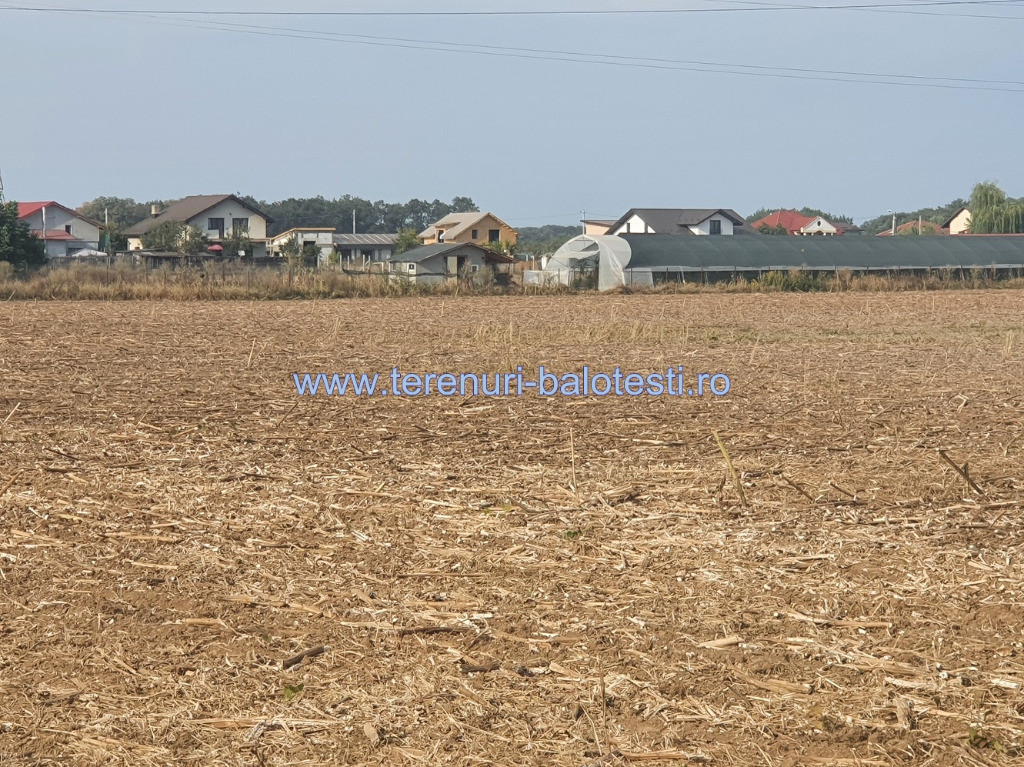 Teren Balotesti,case noi,padure,500mp
