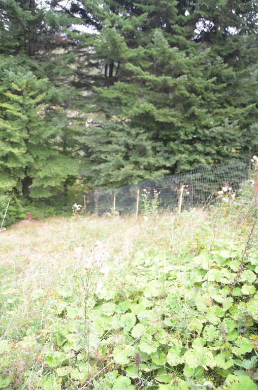 Busteni-Teren cu panorama superba de vanzare