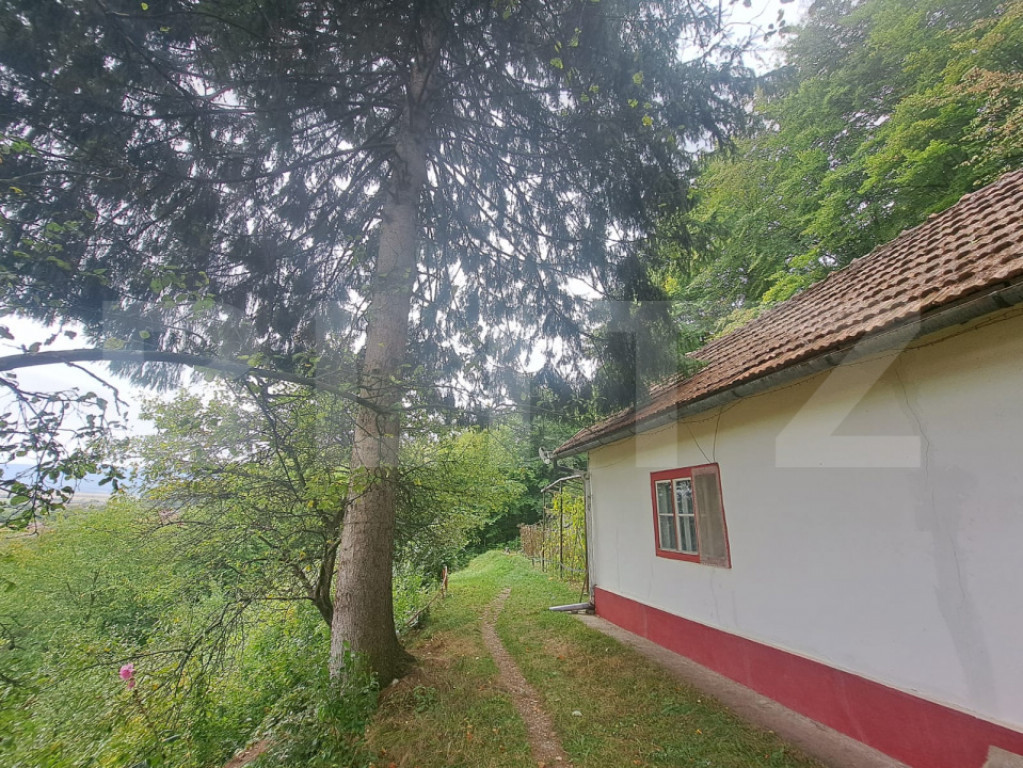 Casă de vânzare – Colonia 1 Mai 75.000 EURO