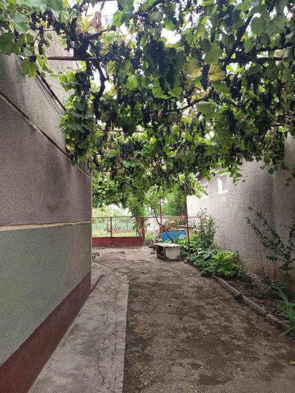 Casă în Tamaseu jud. Bihor