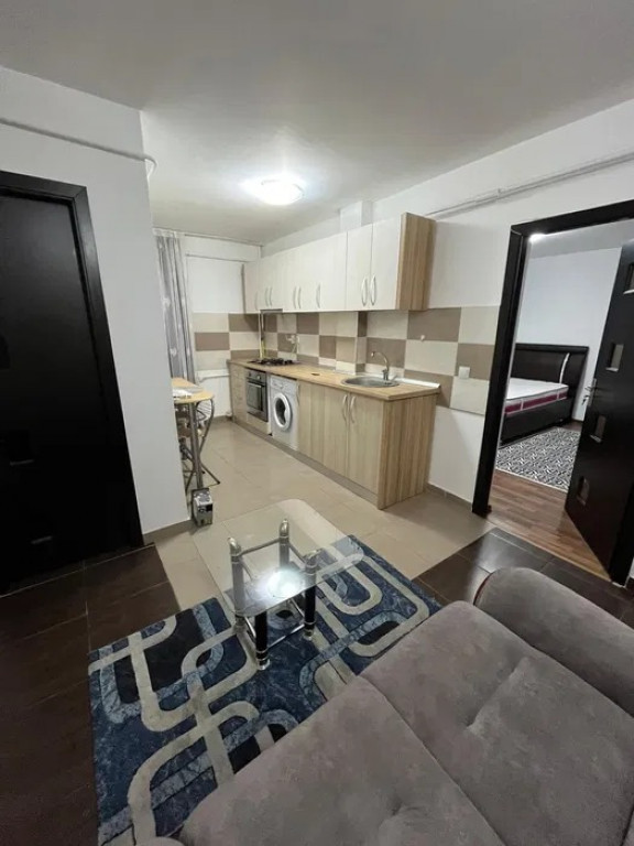 Apartament 1 camera D, in Oancea,