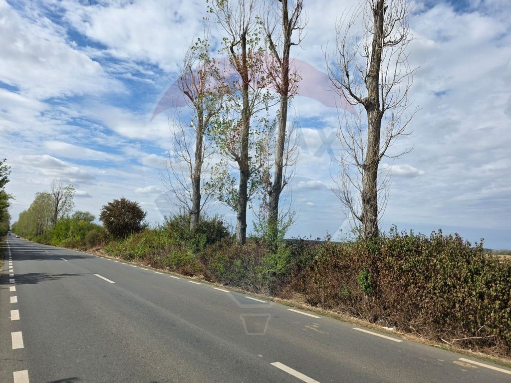 Teren 5000 mp deschidere Sos. Silistea Ciolpani