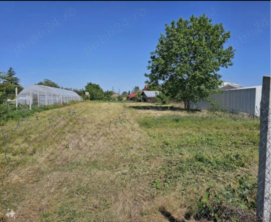 Teren intravilan 1000 mp Moara Vlasiei