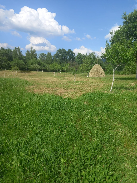 Teren construibil 5300mp