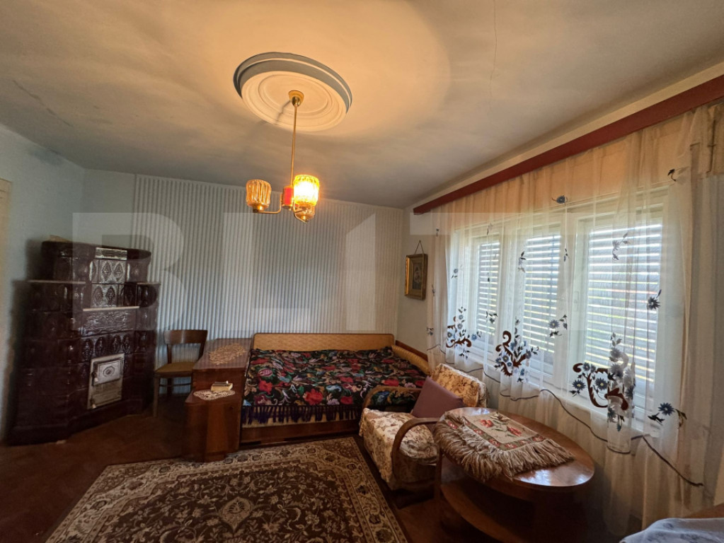 Casă în Băcia – teren generos 6.557 mp, ideal pentru in