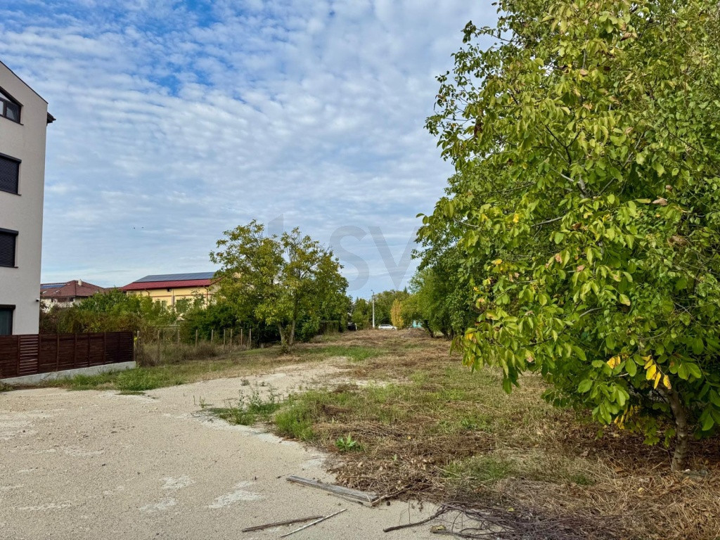 Teren de I Bucurestii Noi I Damaroaia