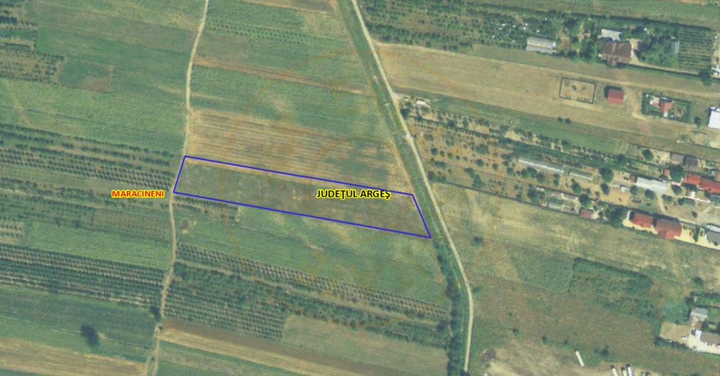 Teren Intravilan Maracineni 7545 mp