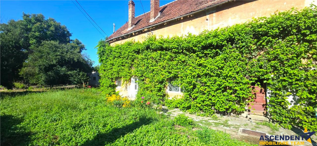 Duplex, personalizabil, cu 1.000 mp teren, Prejmer, Brasov