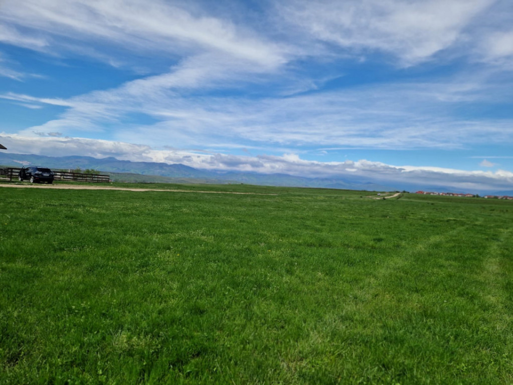 Teren extravilan 25.254 mp în zona Preajba