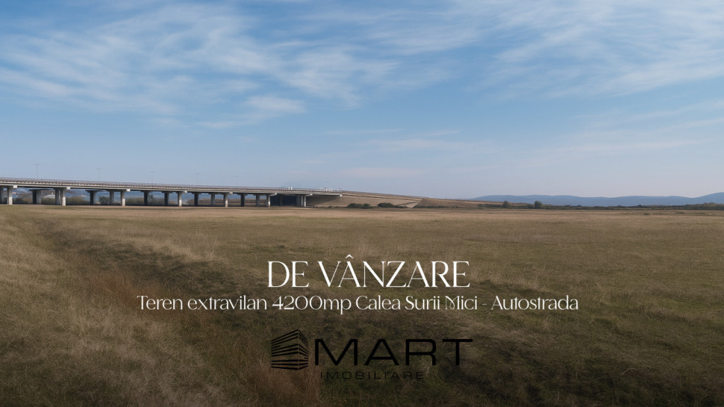 Teren intravilan 6500mp la drumul principal Campsor - Strand