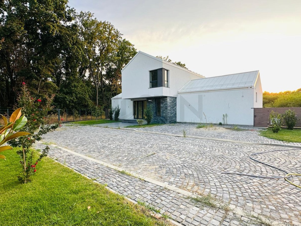 Vila de la padure in Corbeanca