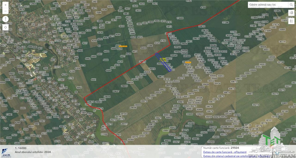 Teren intravilan 51000 mp - Oportunitate rara in Vasilati, C