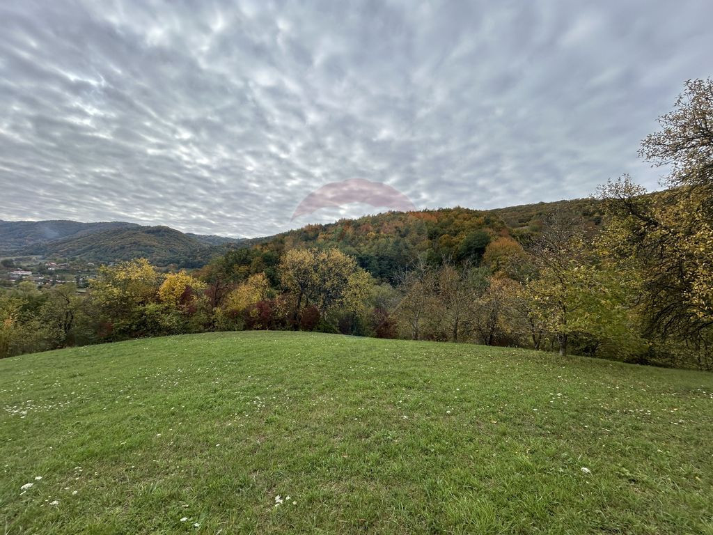 Teren 2,000mp Copalnic-Manastur / Strada Principala