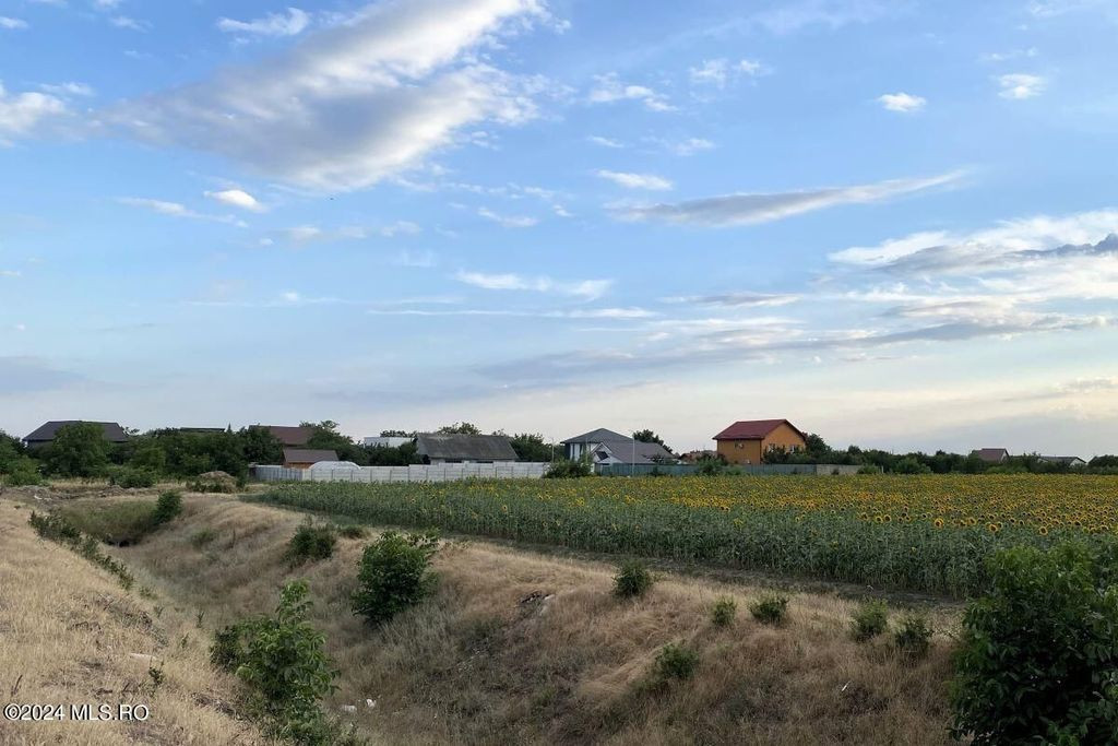 Tamasi, langa padure, 12.824 mp, deschidere 45 ml, teren ...