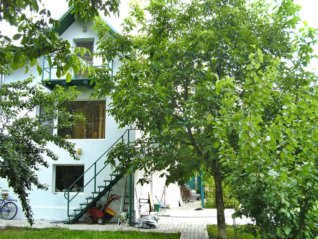 Buftea Centru – Teren 1807 mp + 2 case – Direct propr...