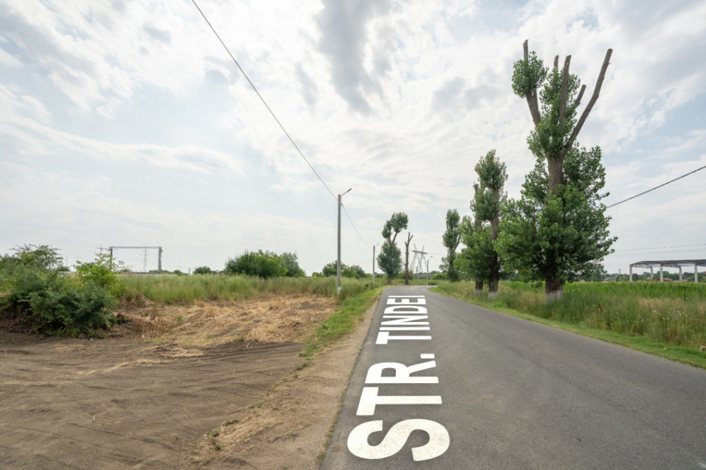 Teren Cernica,pentru Dezvoltare Rezidențială sau Industria