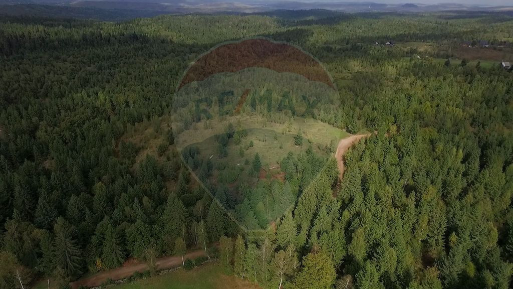 Teren extravilan parcelabil Călățele Pădure, zona Dea...