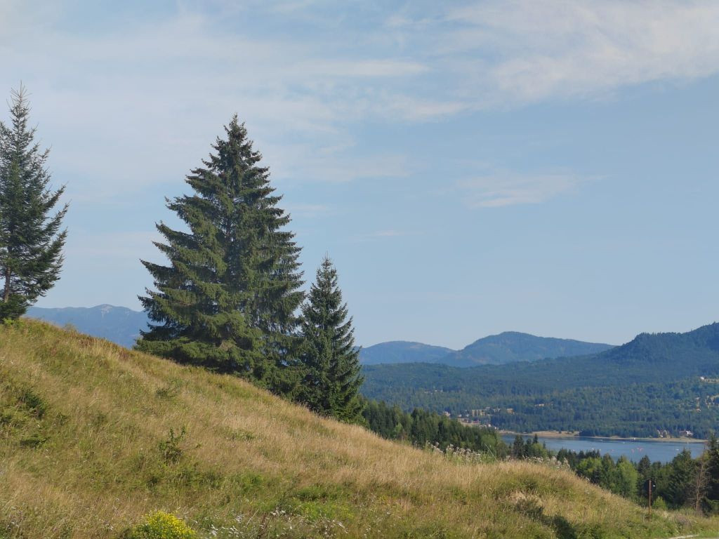 Teren Colibita - 2 hectare - acces direct din drumul 173 D