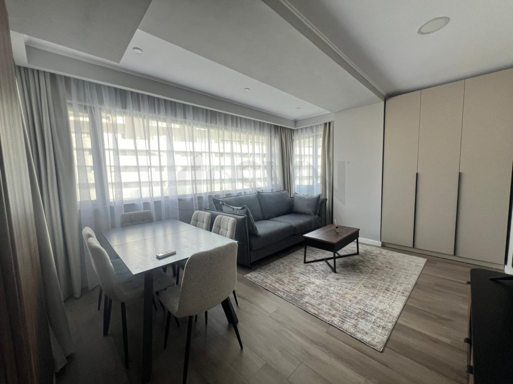Apartament 2 Camere Mobilat Premium Herastrau Phoenicia