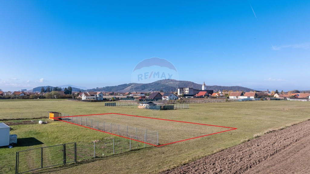 Teren Harman, Strada Henri Coanda, 1000mp