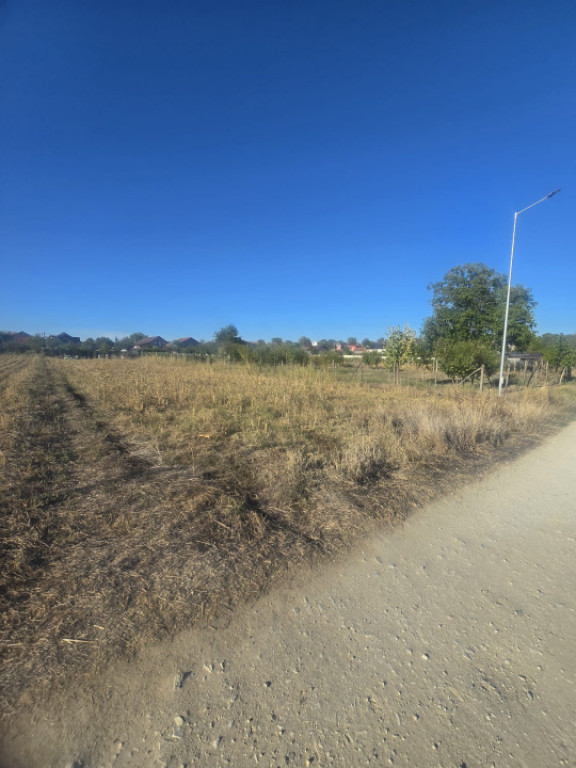 Teren 1000mp ,la intrarea in Filiasi