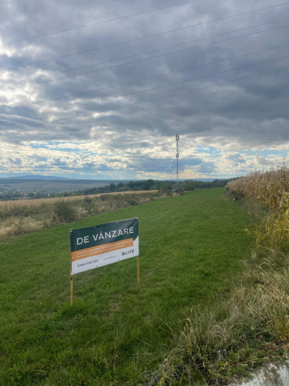 Teren pentru investitie