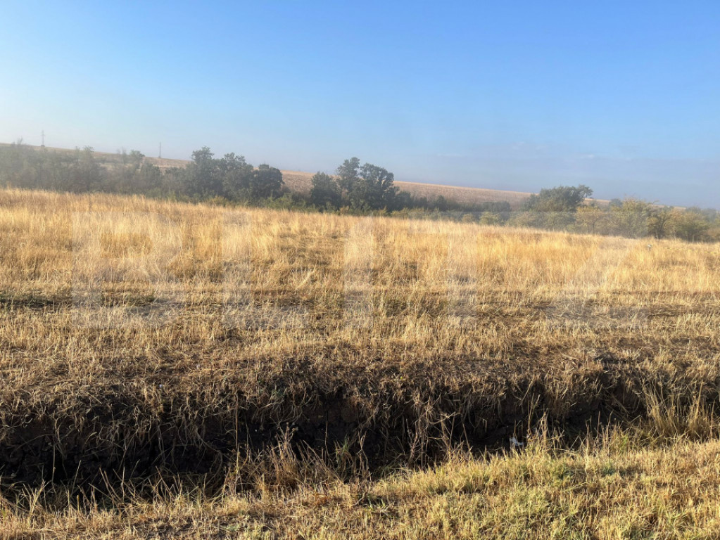 Teren intravilan, 2.500 mp, sat Sarbatoarea