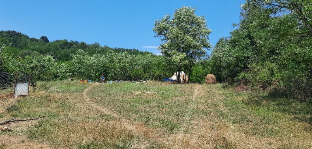 Teren intravilan Loc. Dobroteasa, jud. Olt