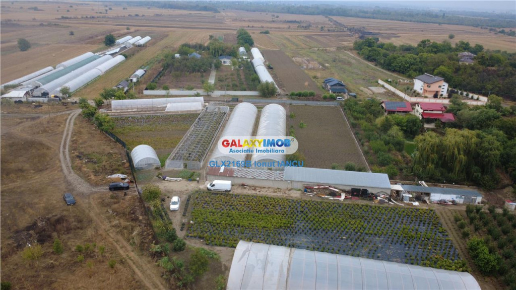 Solare Flori si Legume - Bujori