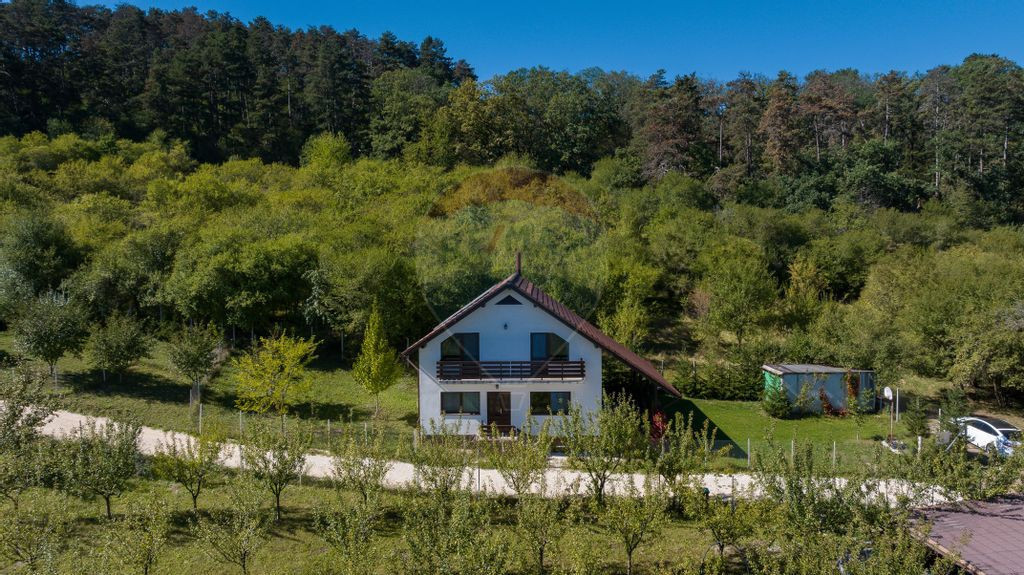 Comision 0%! Vilă modernă, în mijlocul naturii