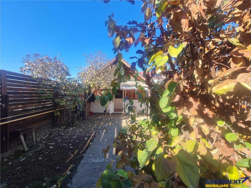 Doua casute tip A Frame, totul pe un teren de 300 mp, Ghimba