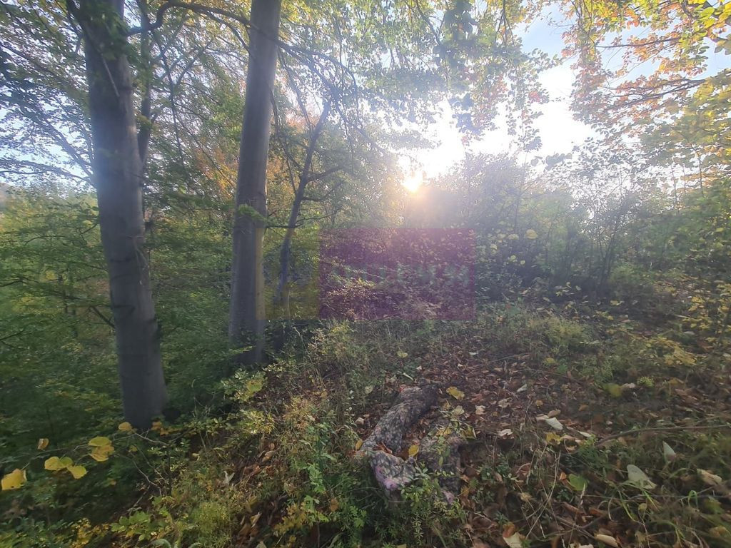 Teren intravilan de vanzare in Telega