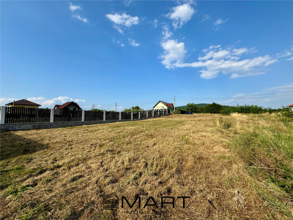 Teren intravilan cu autorizatie de constructie casa Talmaciu