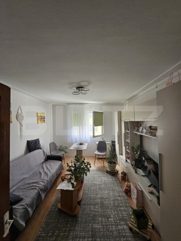 Garsoniera de inchiriat, 22 mp, zona Dambu Rotund