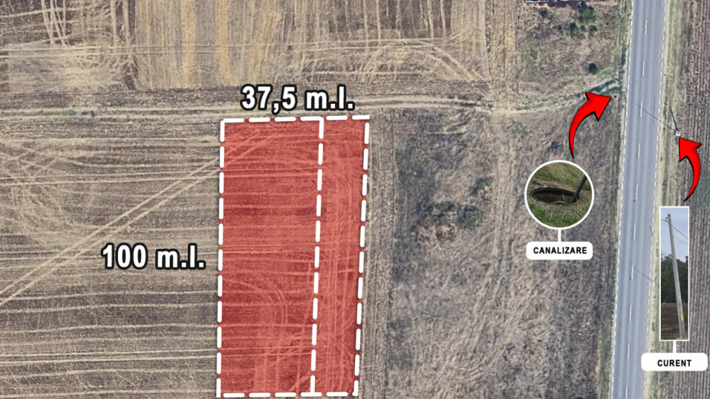 TEREN BRANESTI pentru MICA DEZVOLTARE IMOBILIARA.